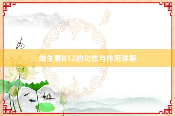 维生素B12的功效与作用详解