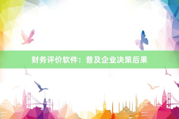 财务评价软件：普及企业决策后果
