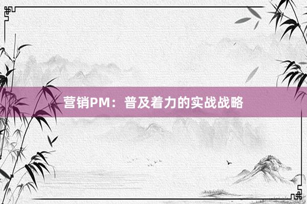 营销PM:普及着力的实战战略